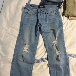 hollister pants